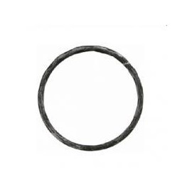 Cercle diamètre 100   20x4mm 