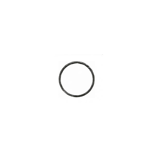 Cercle diamètre 100   20x4mm 